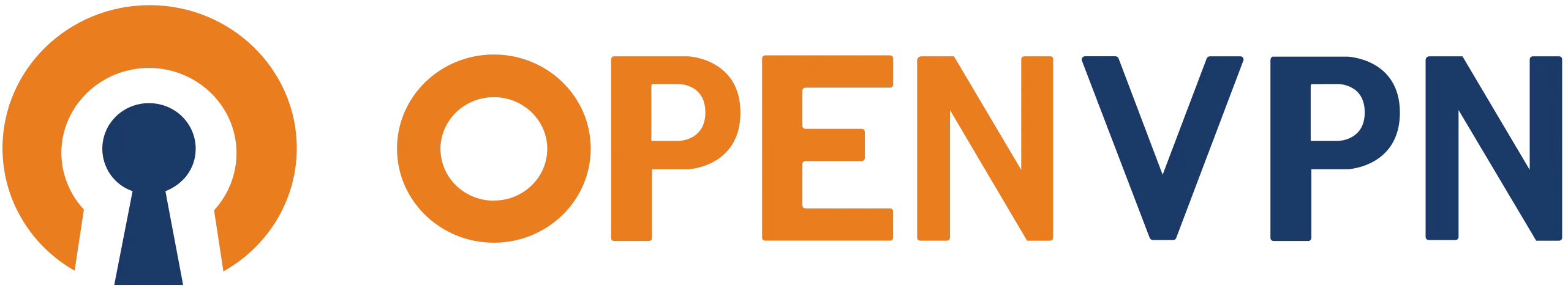 /media/OpenVPN_logo.svg.webp